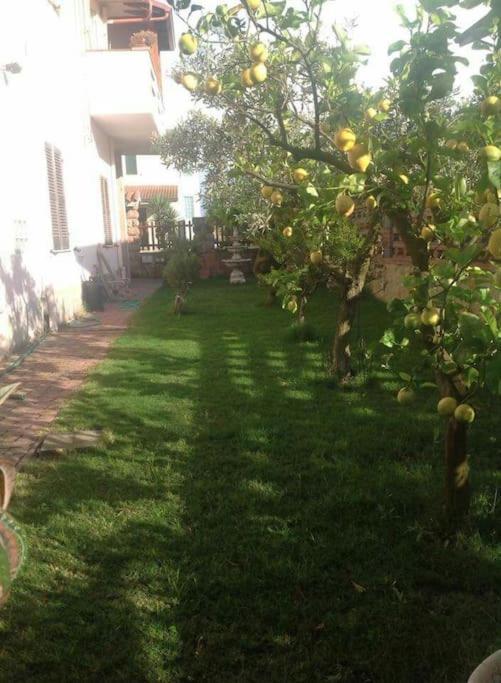 فيلا Su Suergiu San Giovanni Suèrgiu المظهر الخارجي الصورة